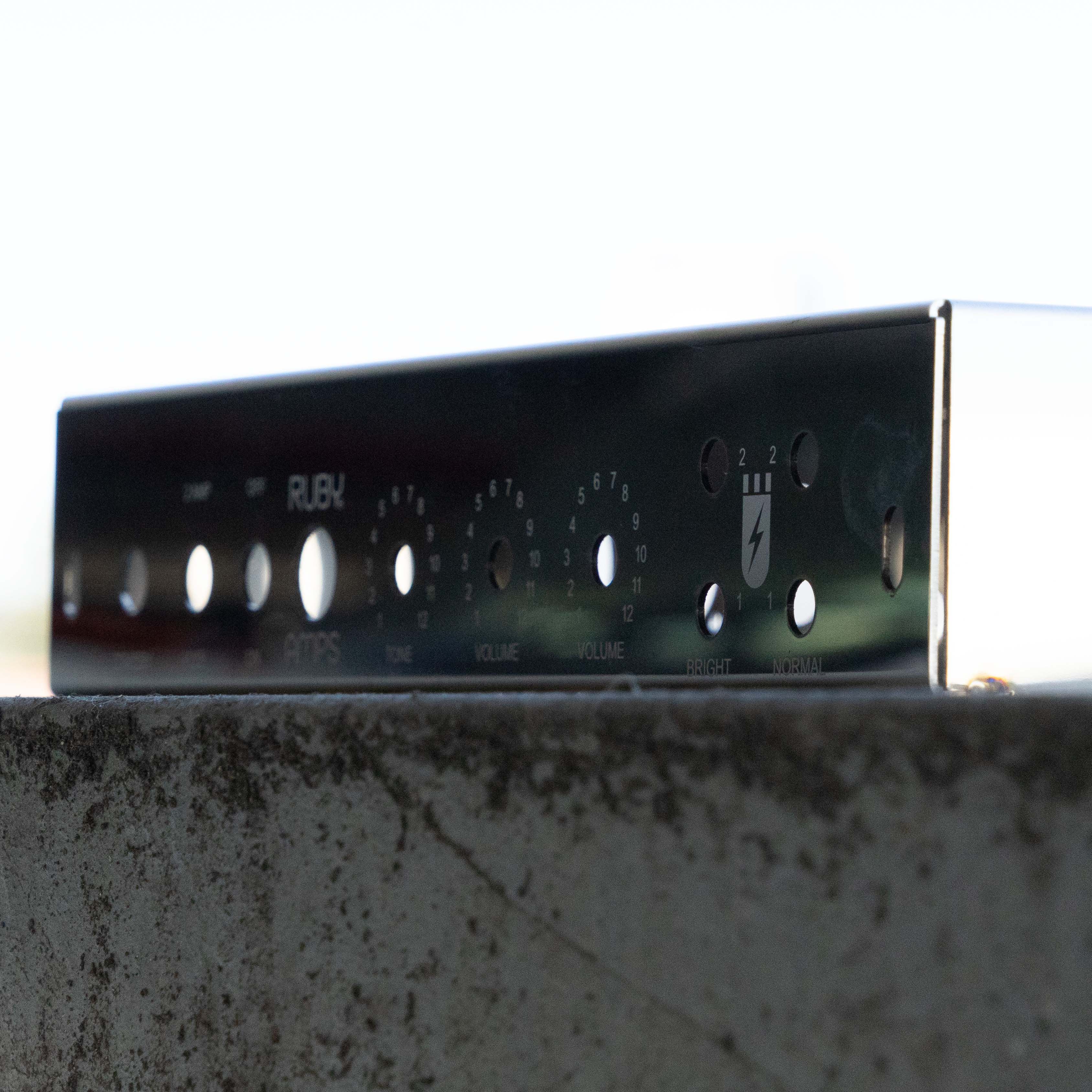 Ruby 5E3 Style Guitar Chassis - White Print