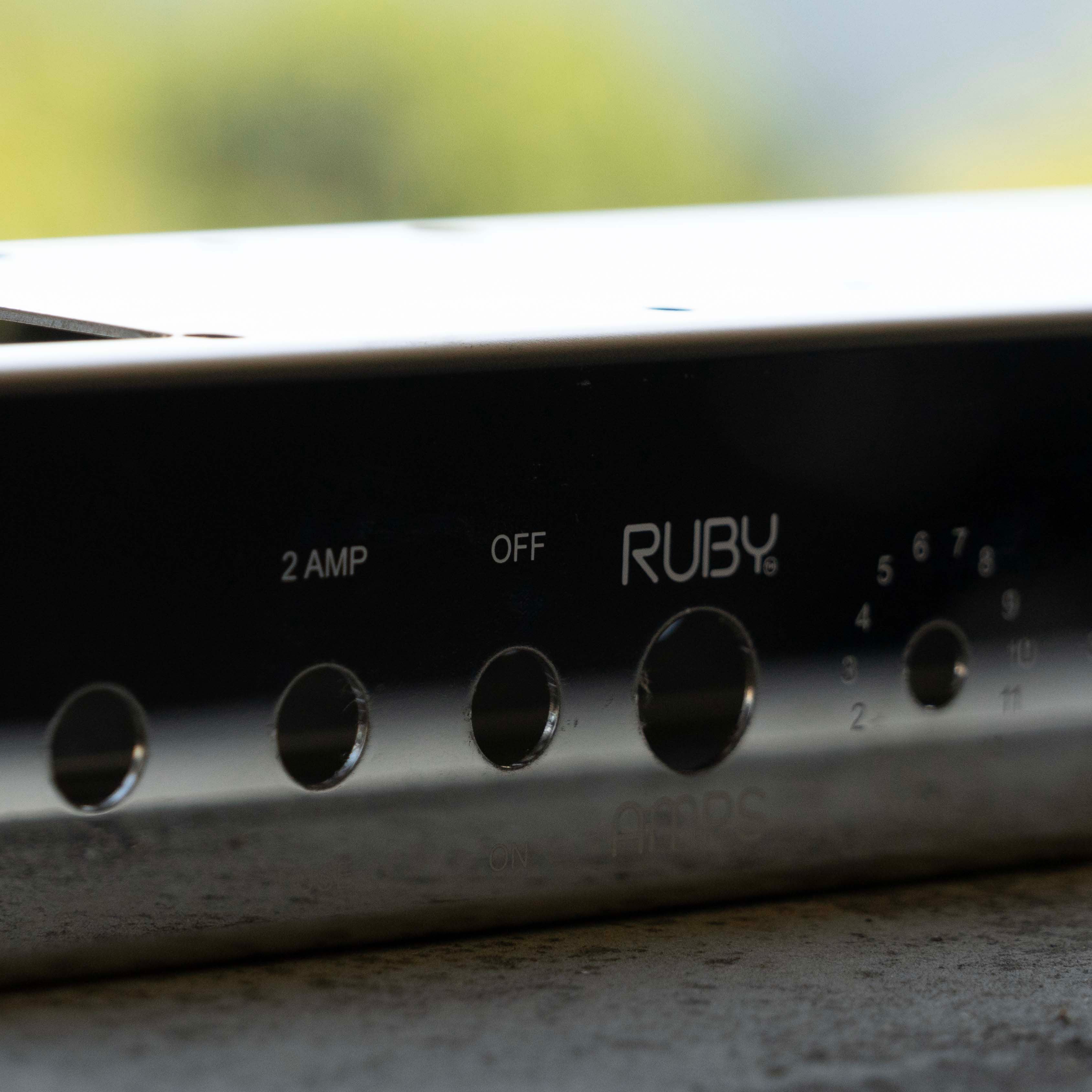 Ruby 5E3 Style Guitar Chassis - White Print