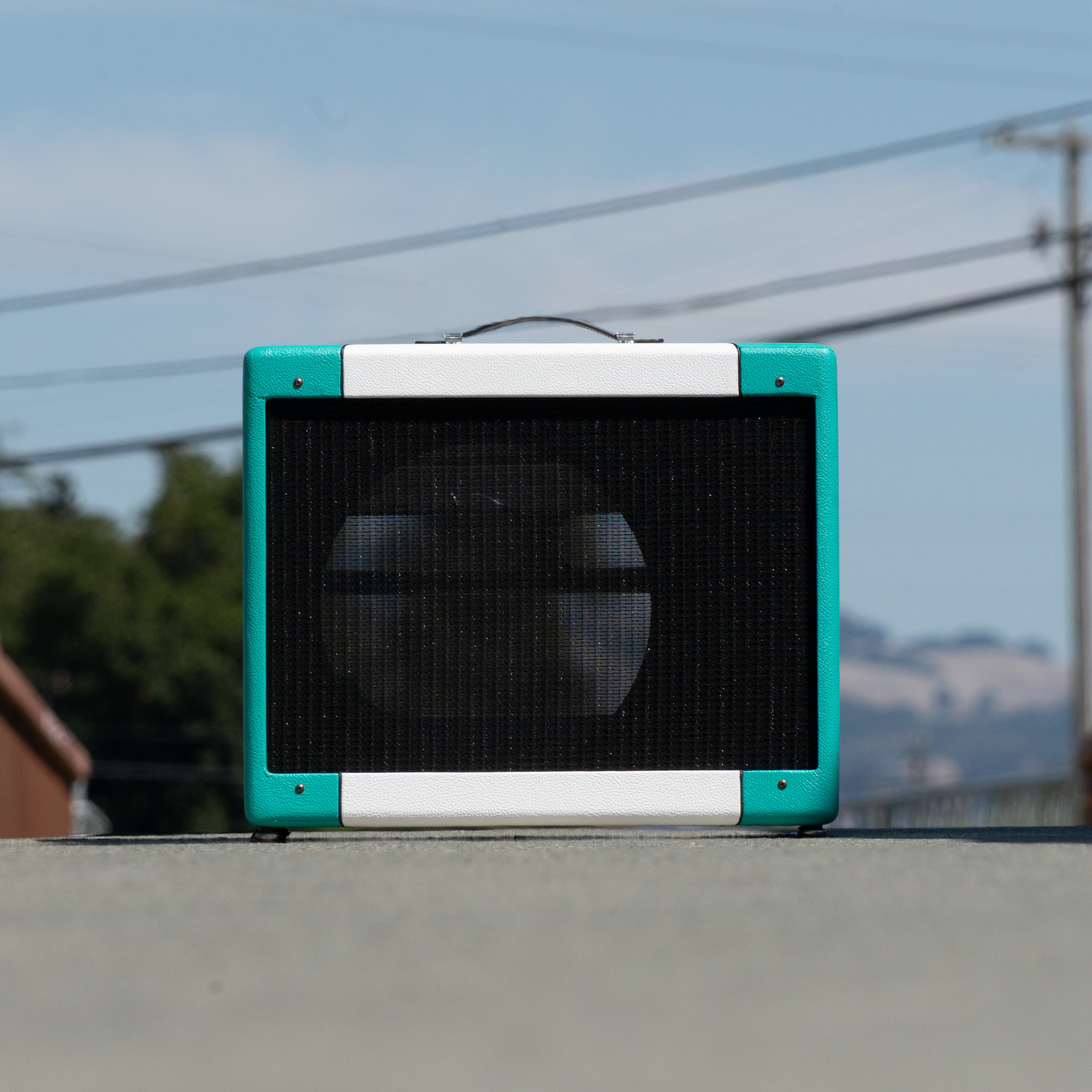 Teal & White Narrow Panel 5E3 Deluxe Amplifier Cabinet