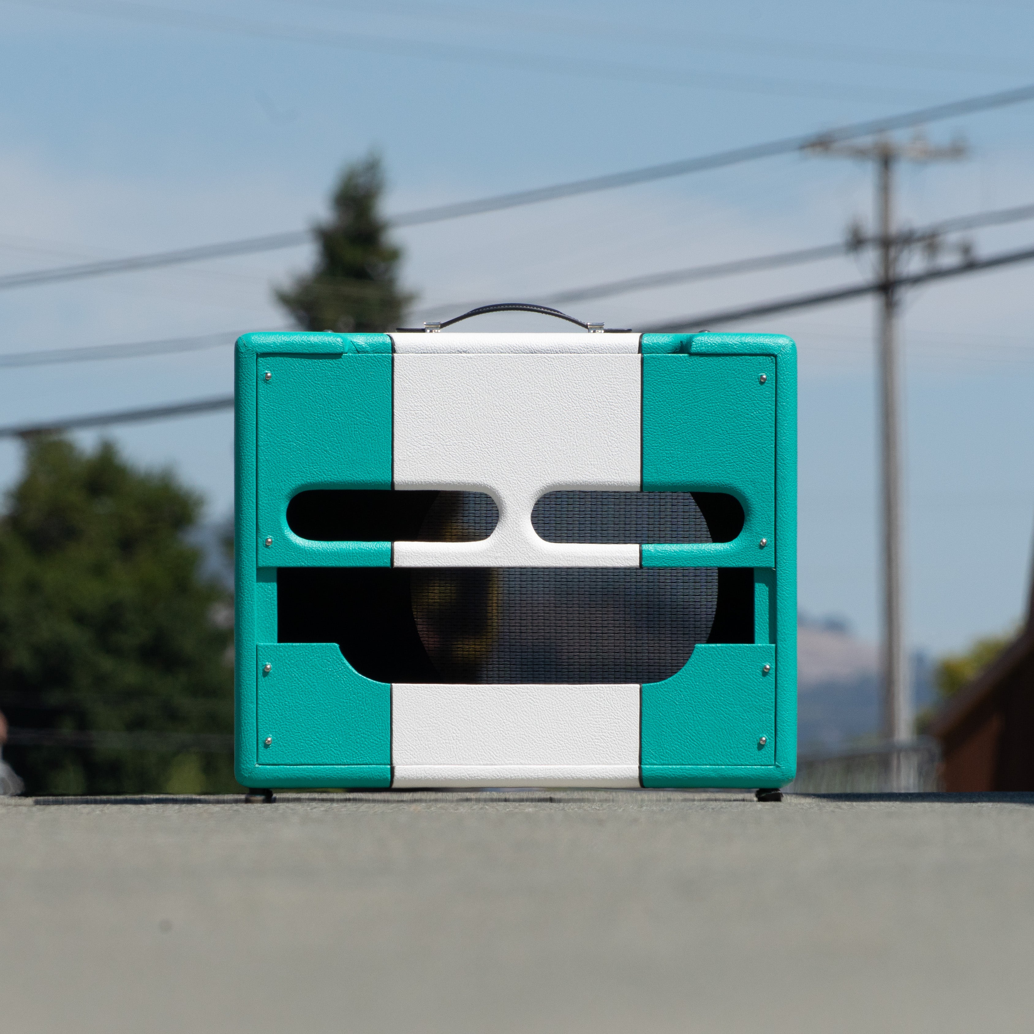 Teal & White Narrow Panel 5E3 Deluxe Amplifier Cabinet