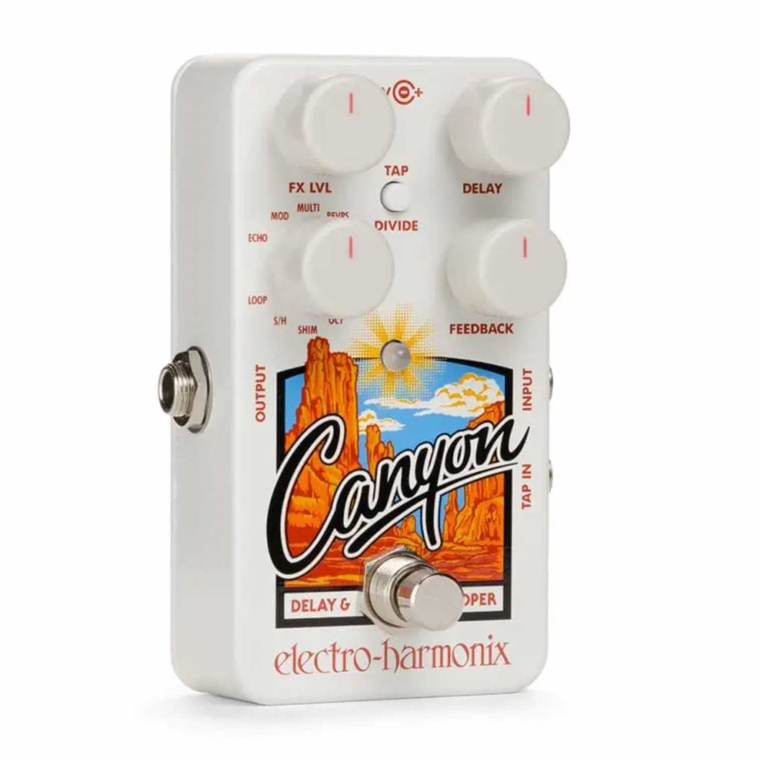 Electro Harmonix Canyon Delay and Looper