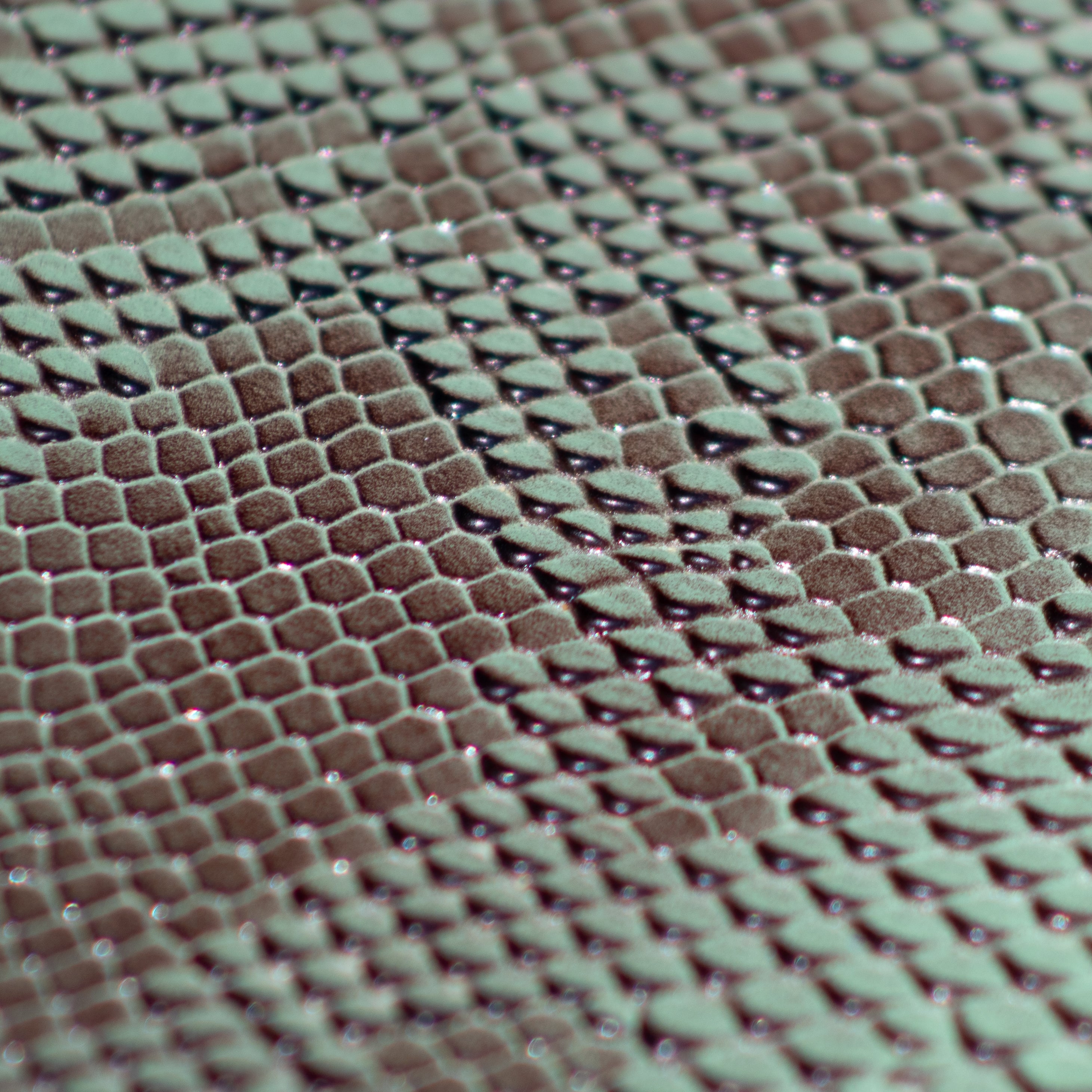 RUBY SNAKESKIN 5E3 Style Amplifier