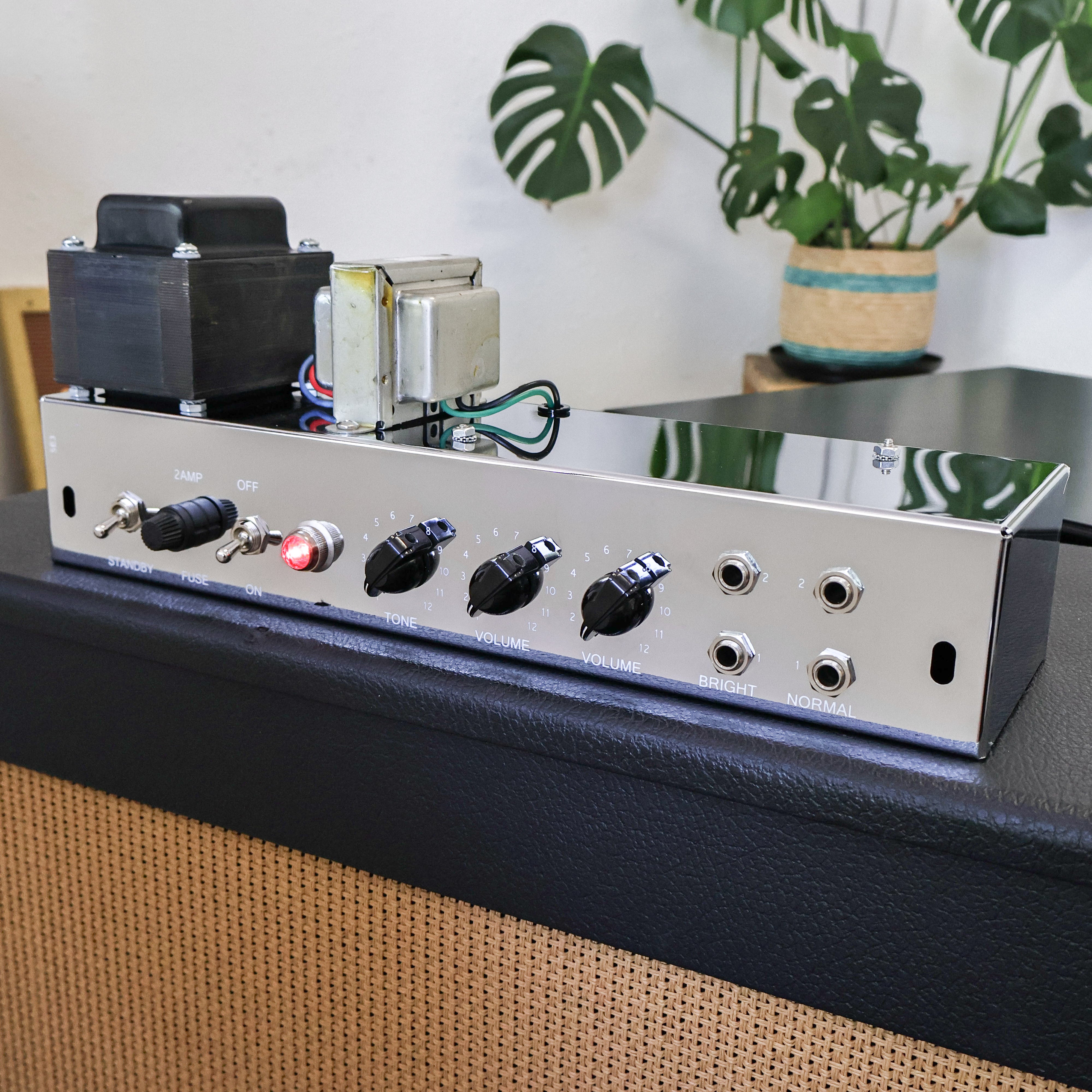 RUBY Tweed Deluxe 5E3 Completed Chassis - Orange Caps