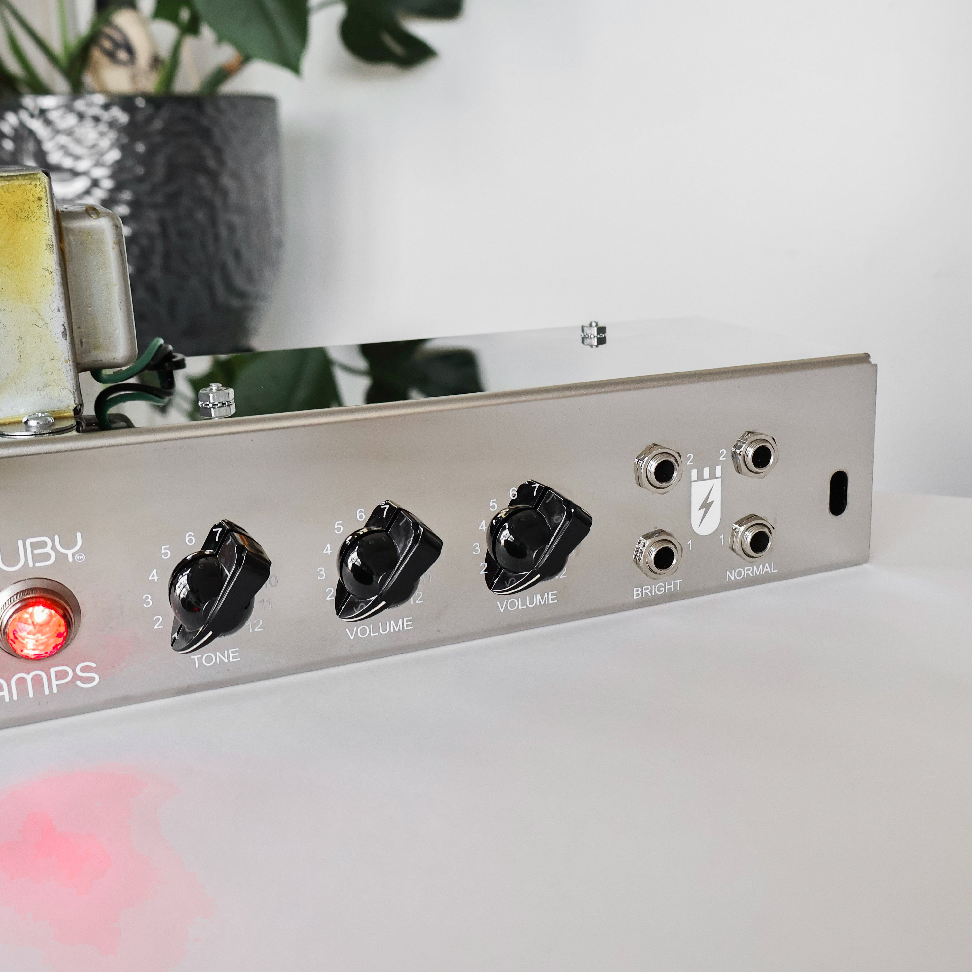 Ruby 5E3 Style Guitar Chassis - White Print