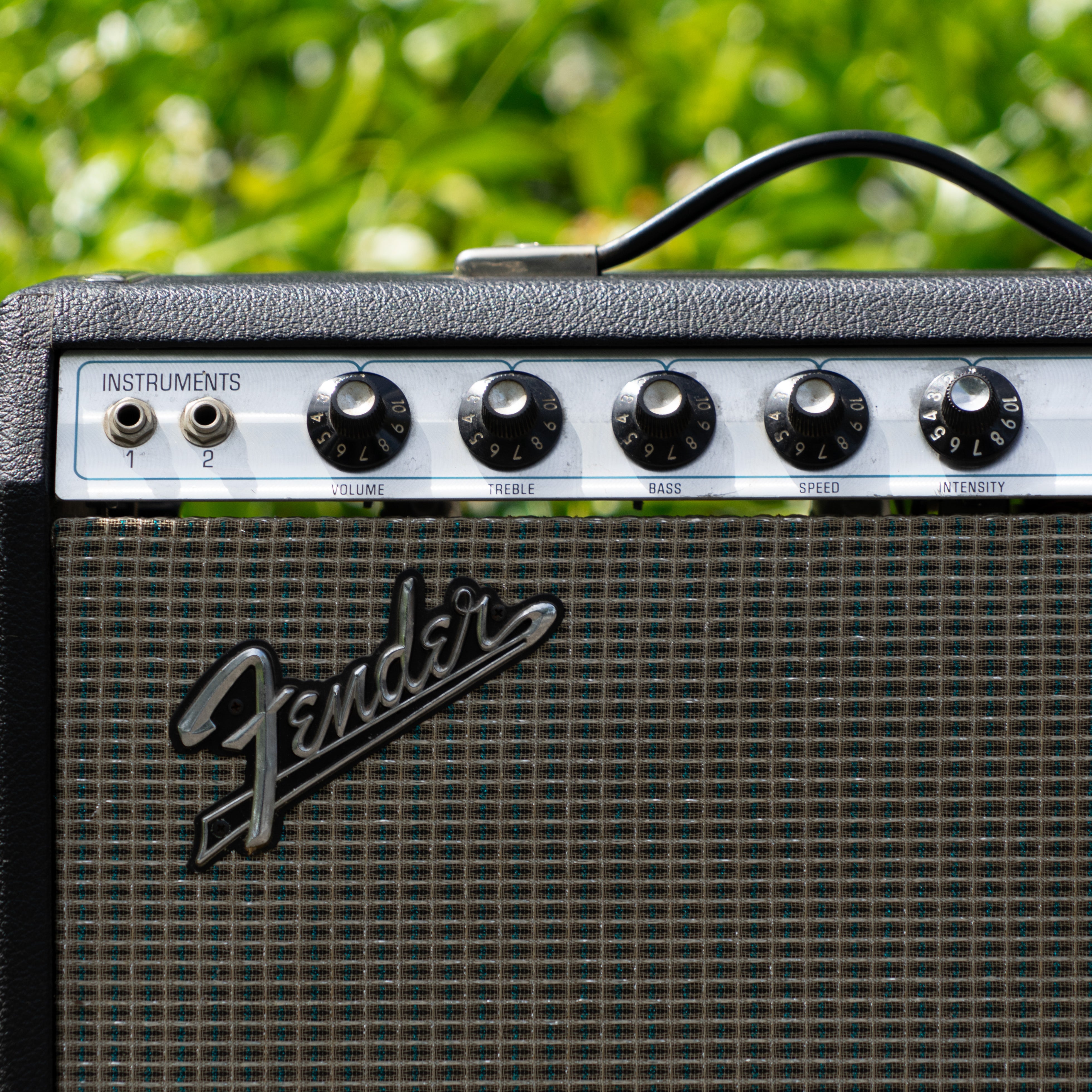 Fender Princeton Amplifier Fender