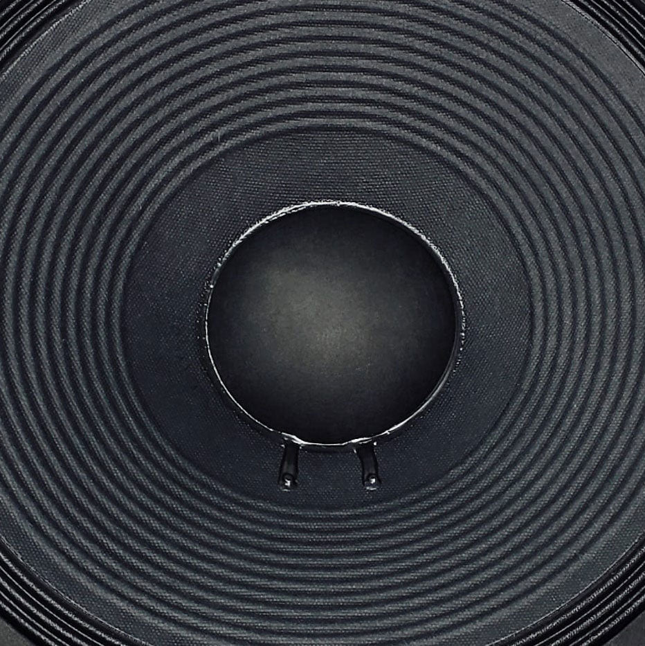Ruby 18" Speaker