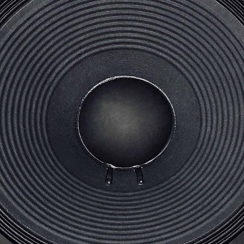 Ruby 15" speaker