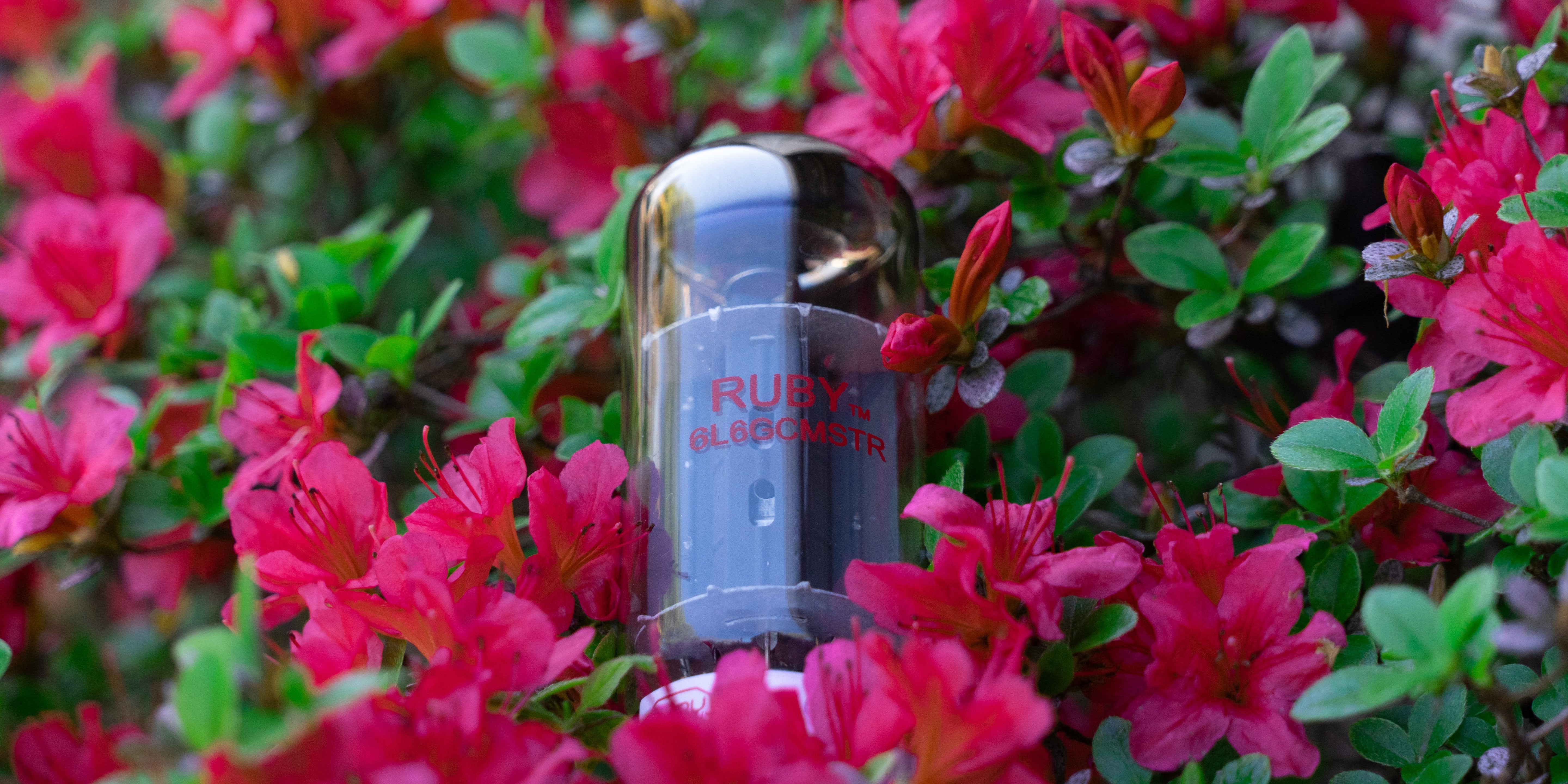 Spring SALE Ruby Tubes