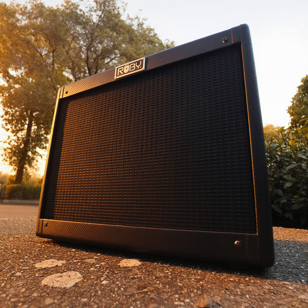 RUBY Black 5E3 Style Amplifier RUBY Tubes