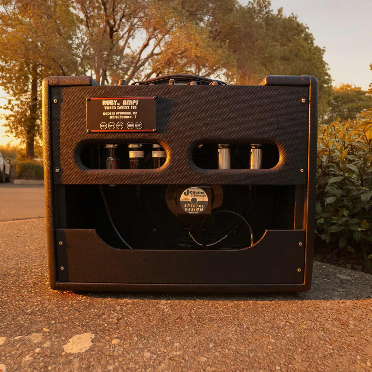 RUBY Black 5E3 Style Amplifier RUBY Tubes