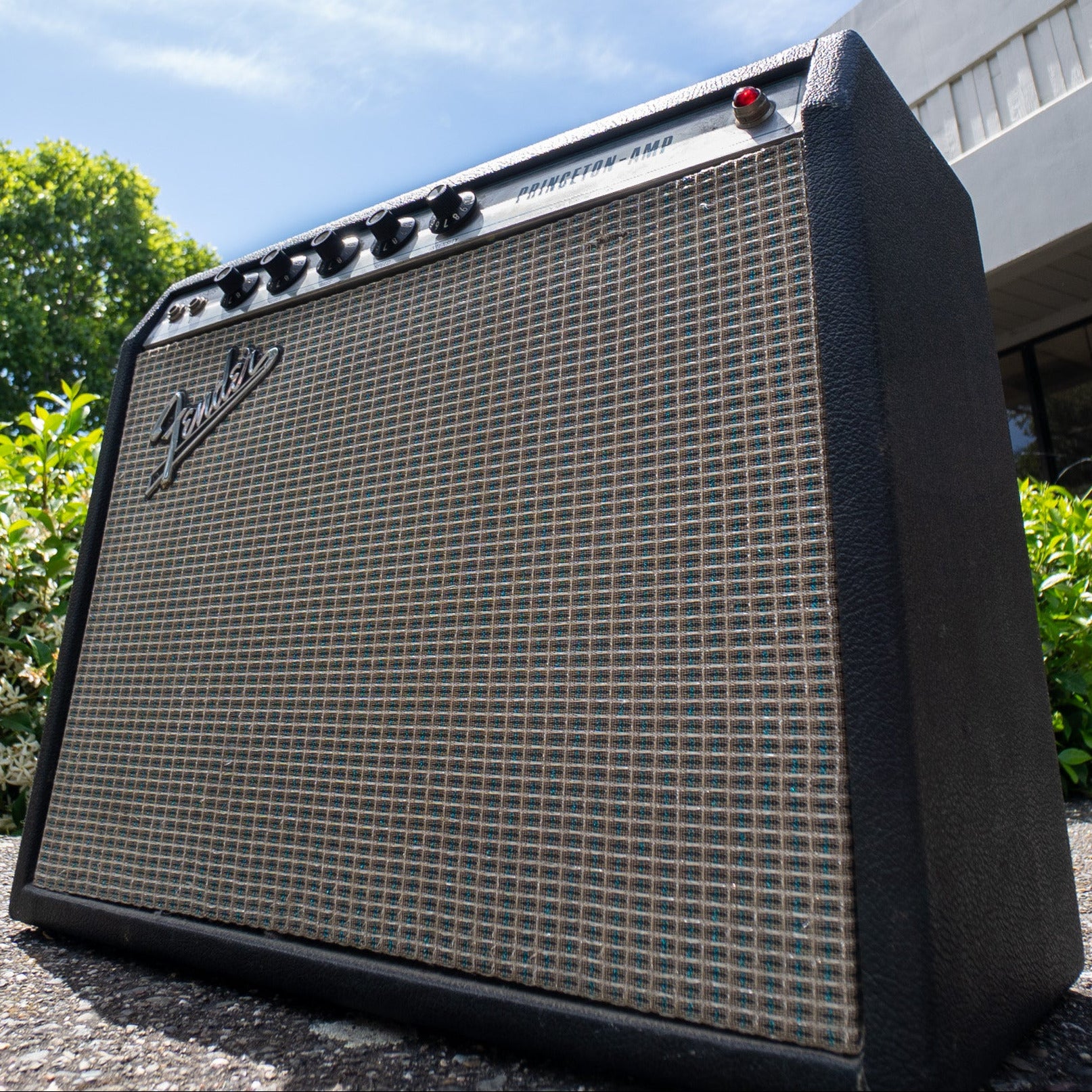 Fender guitar amplifier outdoors with a building and trees in the background