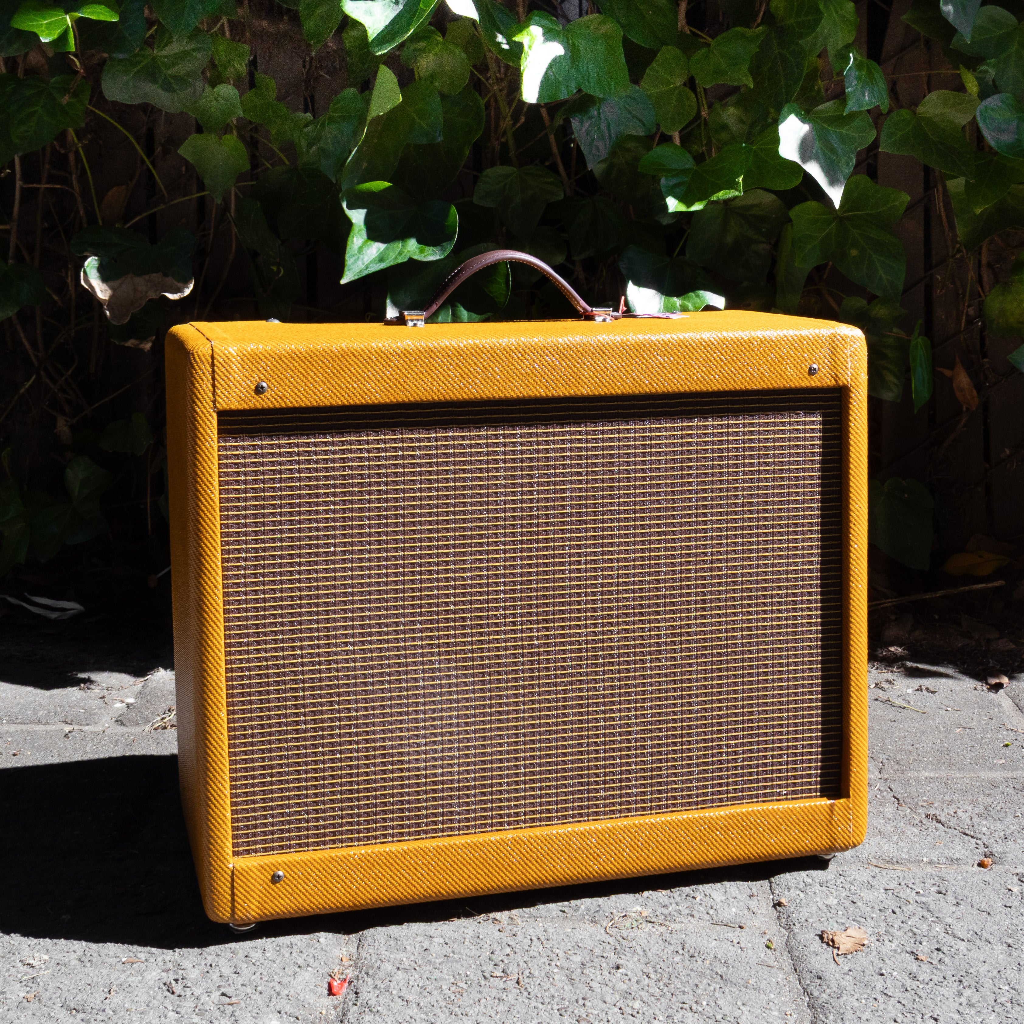 RUBY Amber 5E3 Style Amplifier