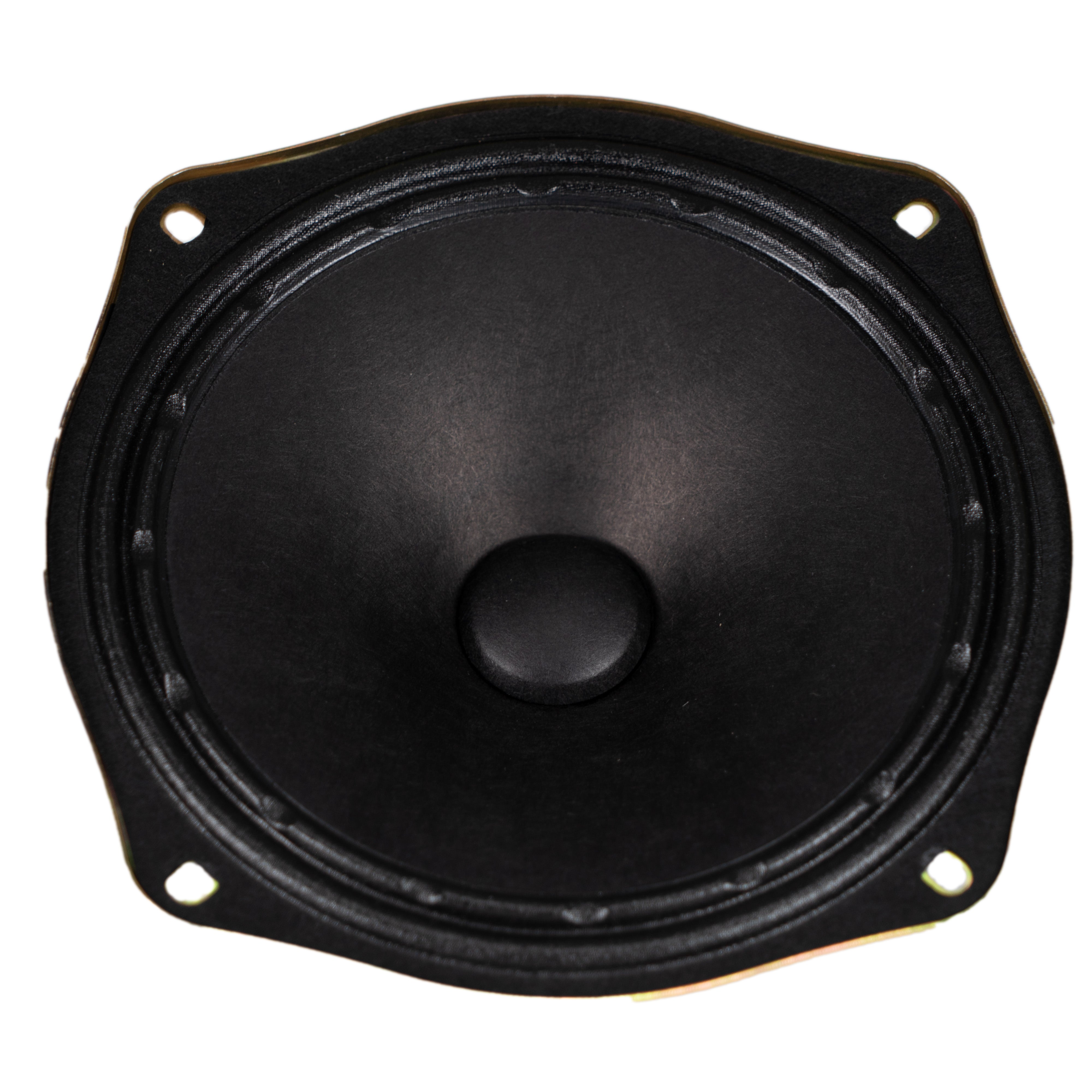 Fender Passport 6.5" P250 S6-2A SPEAKER