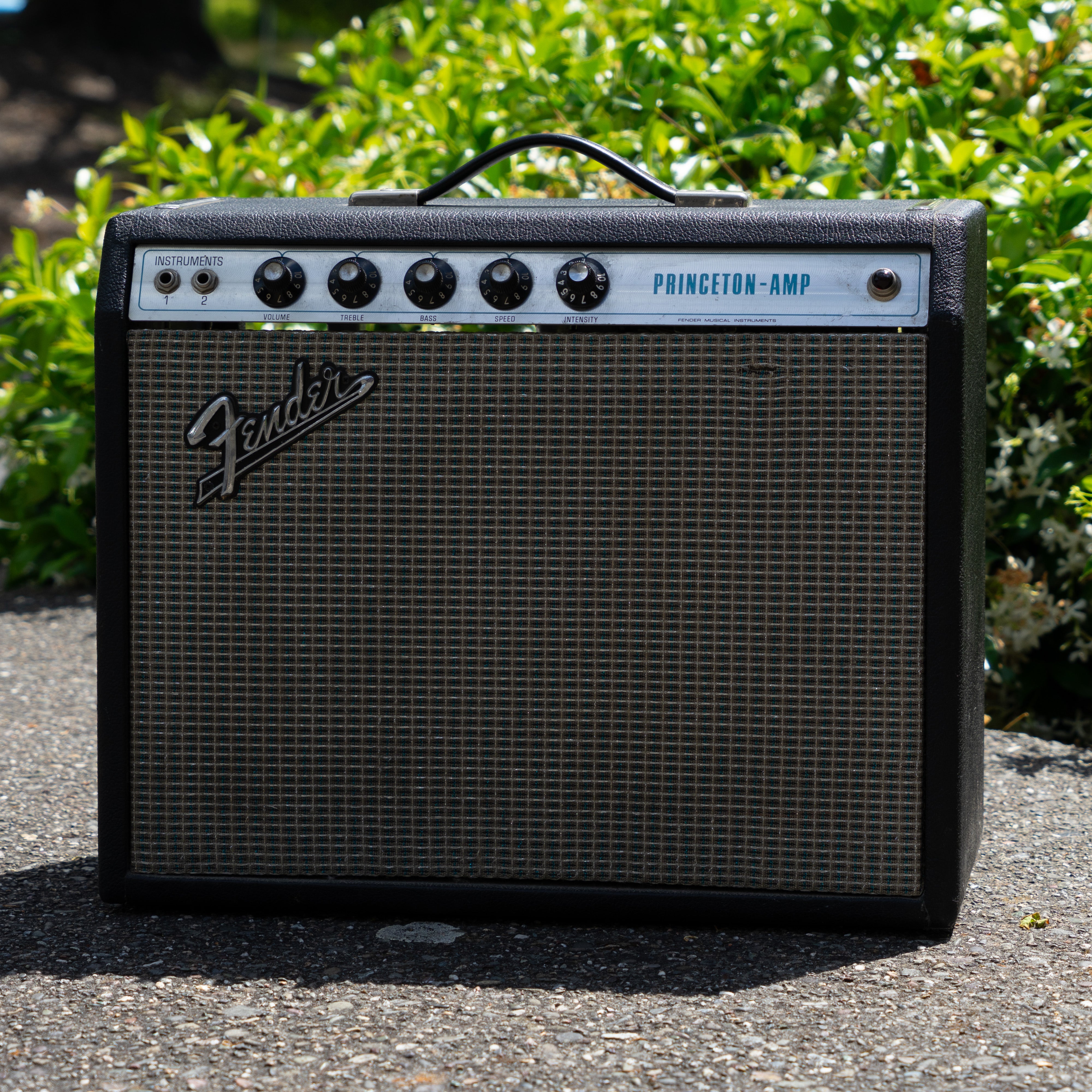 Fender Princeton Amplifier Fender