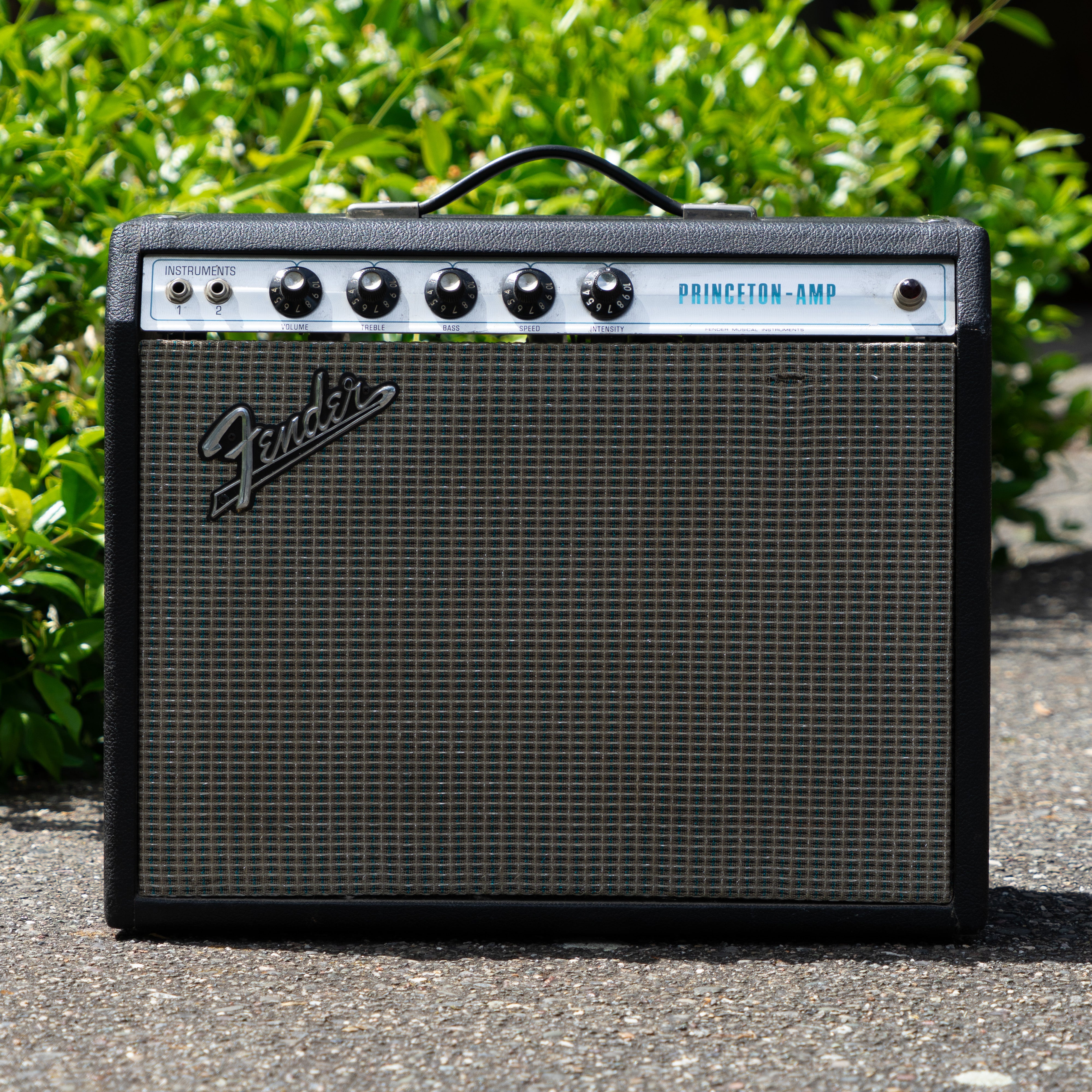 Fender Princeton Amplifier Fender